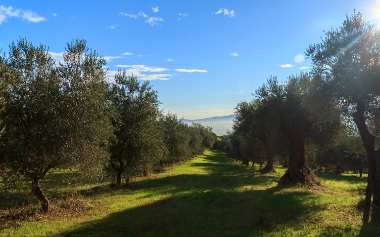 Galleria panoramica