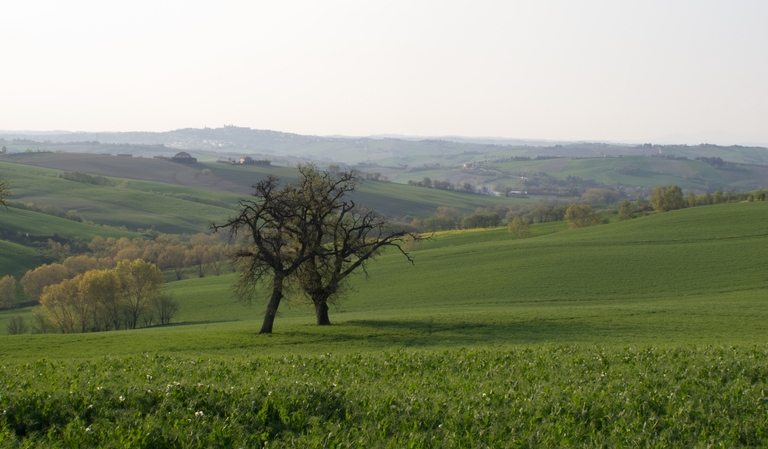 Galleria panoramica