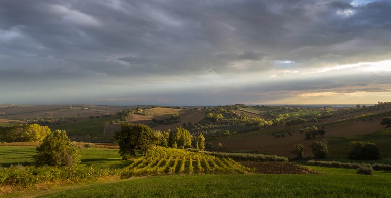 Galleria panoramica