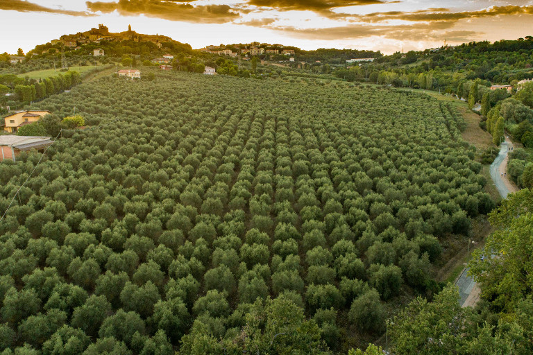 Galleria panoramica