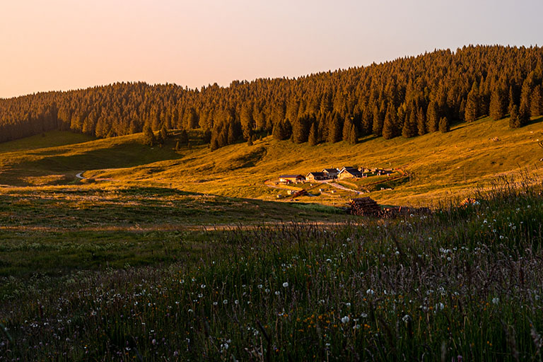 Galleria panoramica