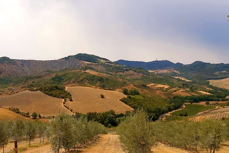 Galleria panoramica