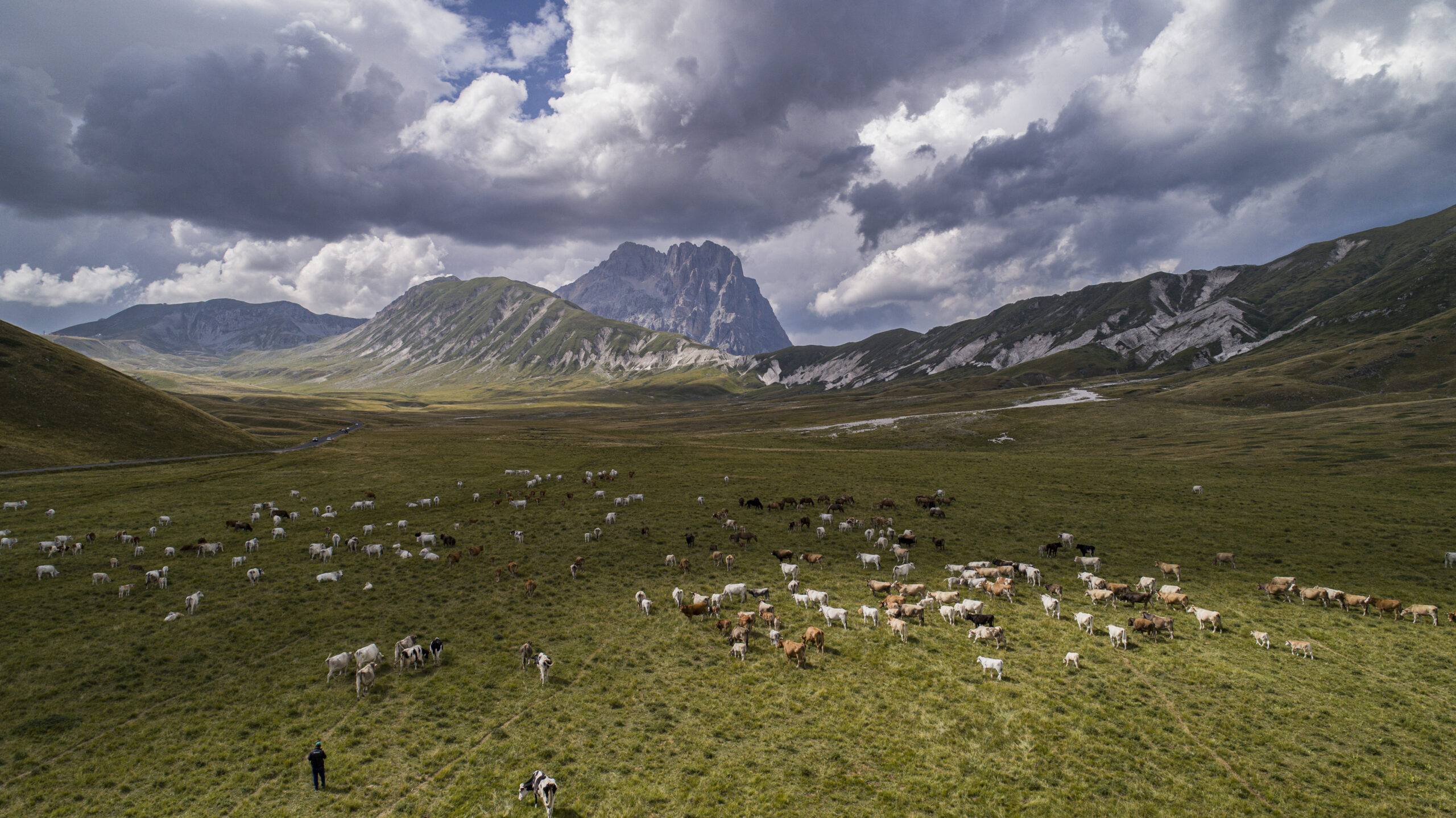 Galleria panoramica