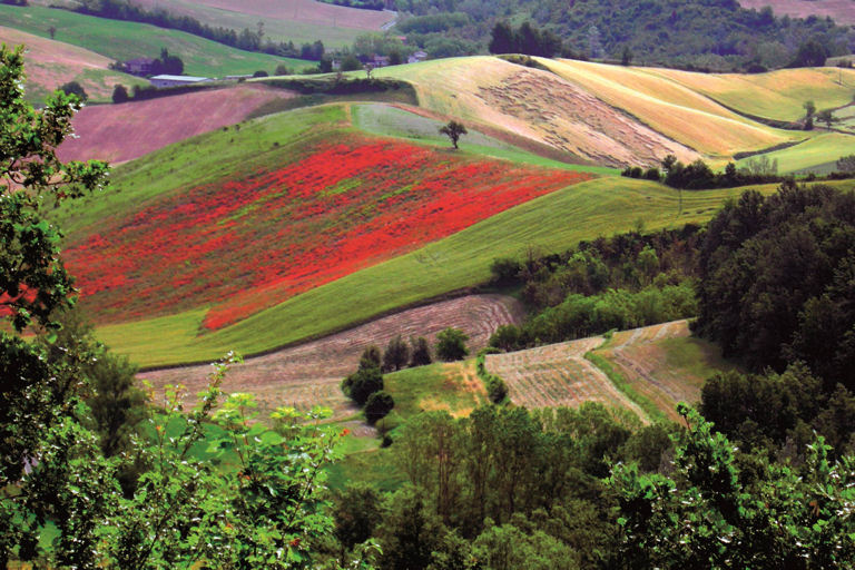 Galleria panoramica