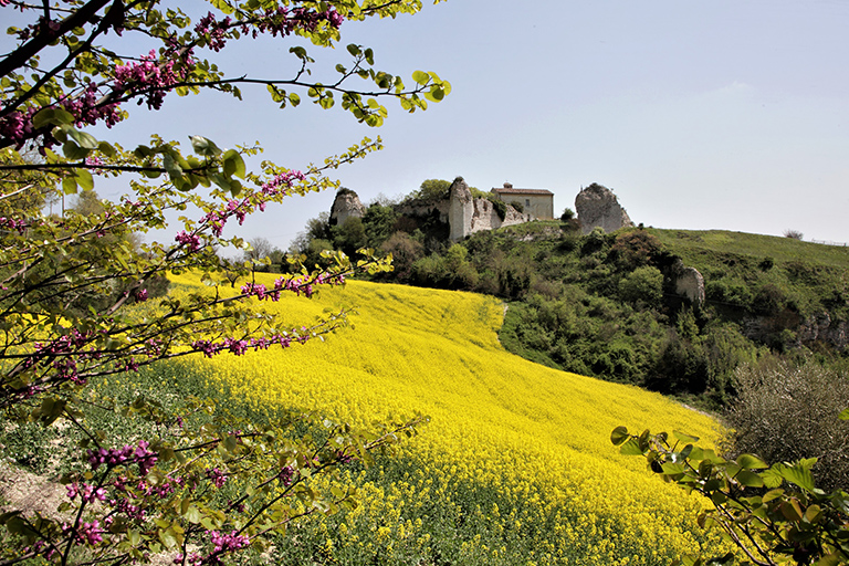 Galleria panoramica