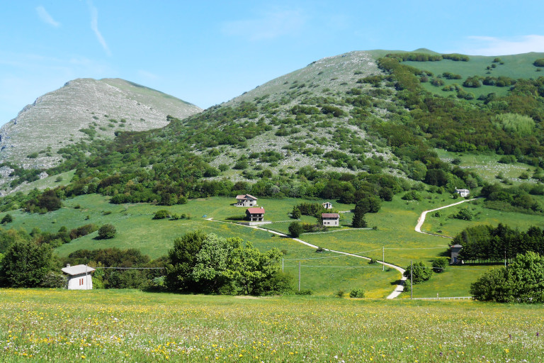 Galleria panoramica