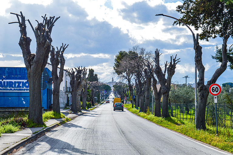 Galleria panoramica