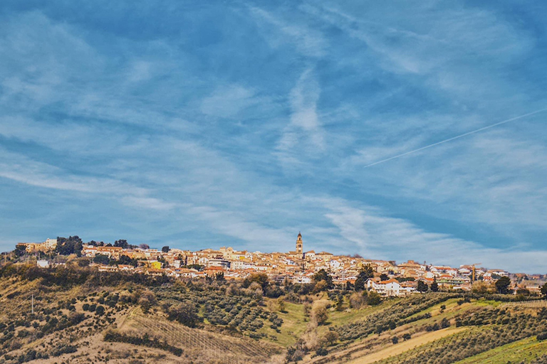 Galleria panoramica