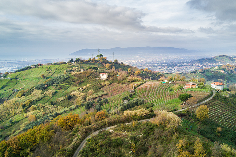 Galleria panoramica