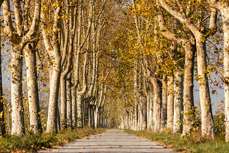 Galleria panoramica