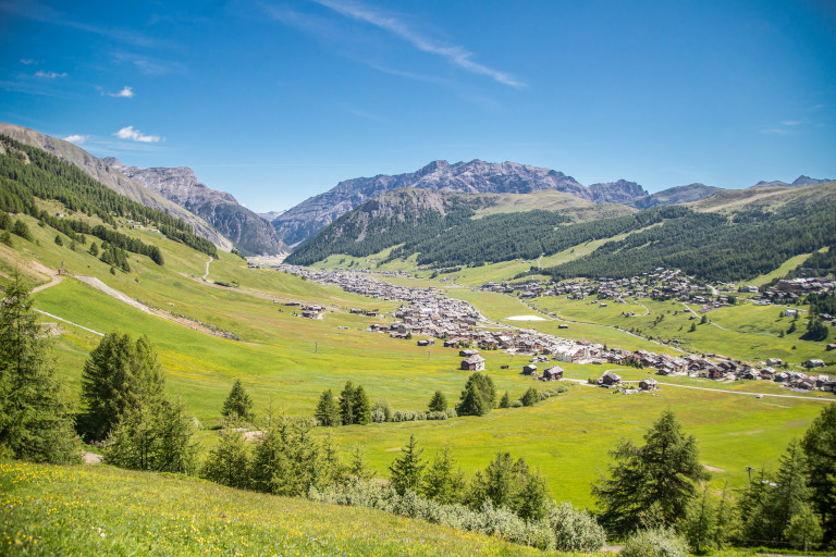 Galleria panoramica