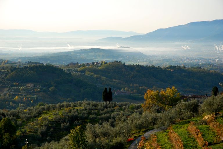 Galleria panoramica