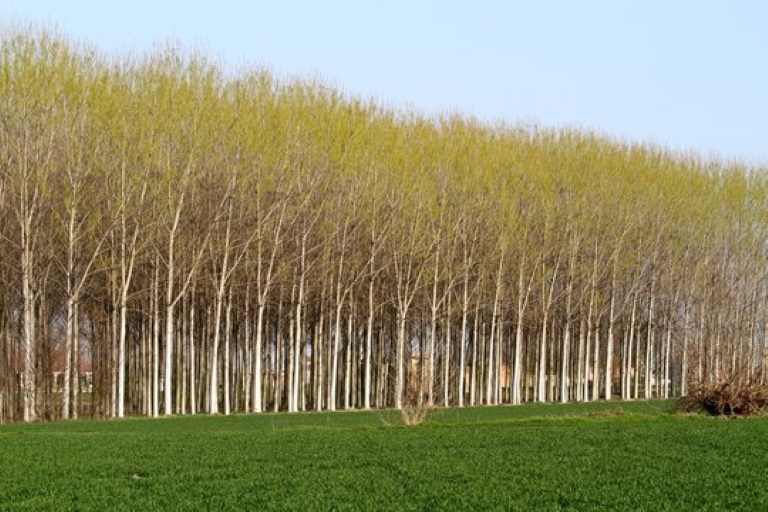 Galleria panoramica