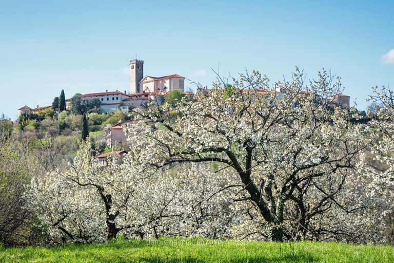 Galleria panoramica
