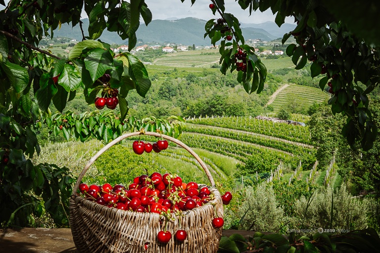 Img Gastronomia