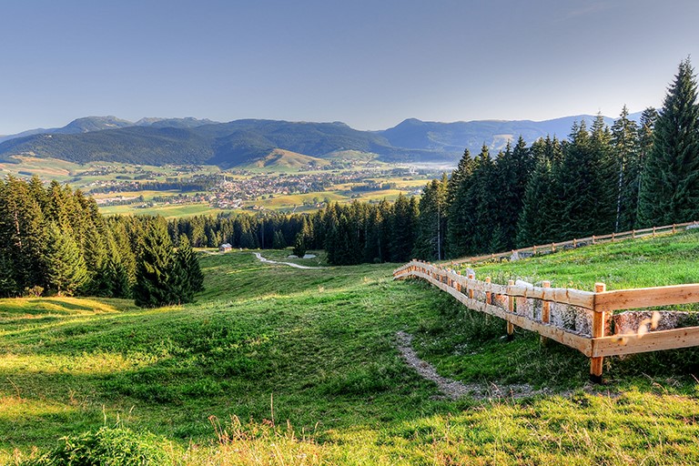 Galleria panoramica