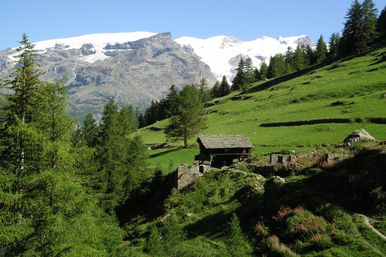 Galleria panoramica