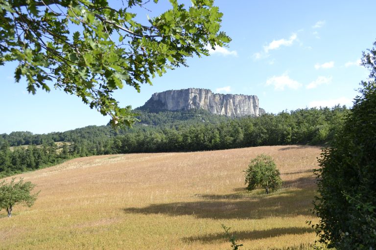 Galleria panoramica