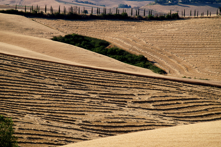 Galleria panoramica