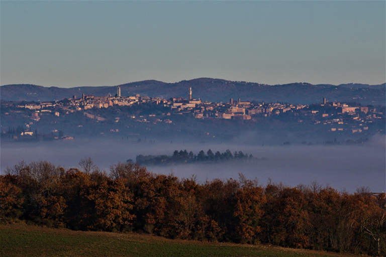 Galleria panoramica