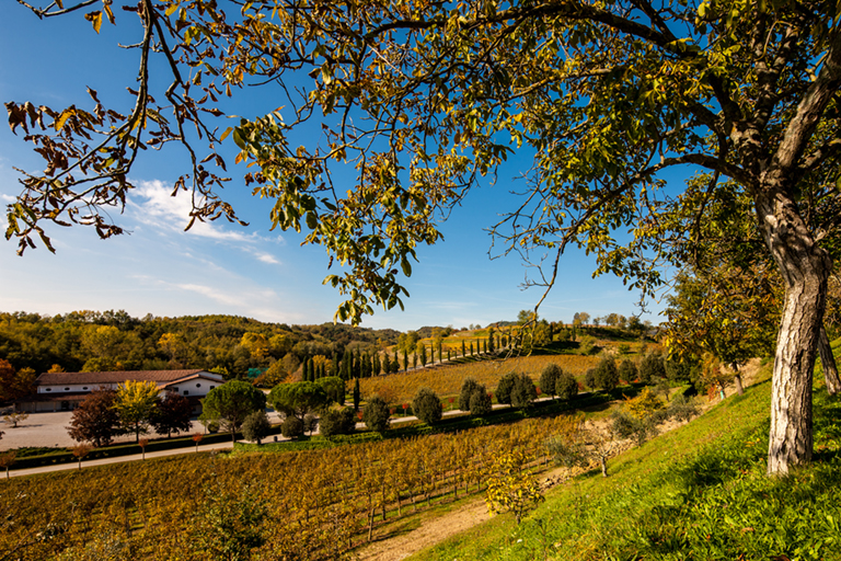 Galleria panoramica