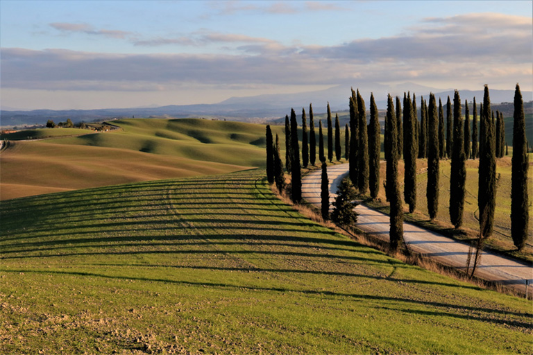 Galleria panoramica