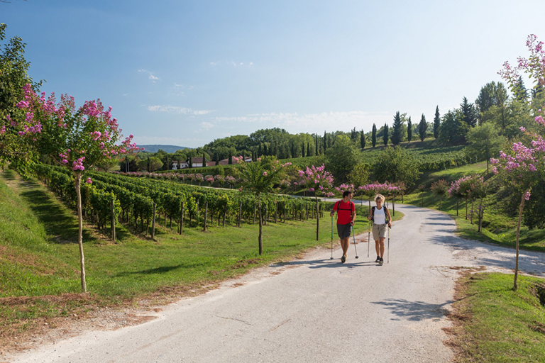 Galleria panoramica