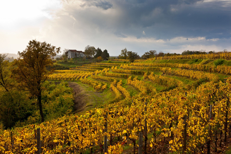 Galleria panoramica
