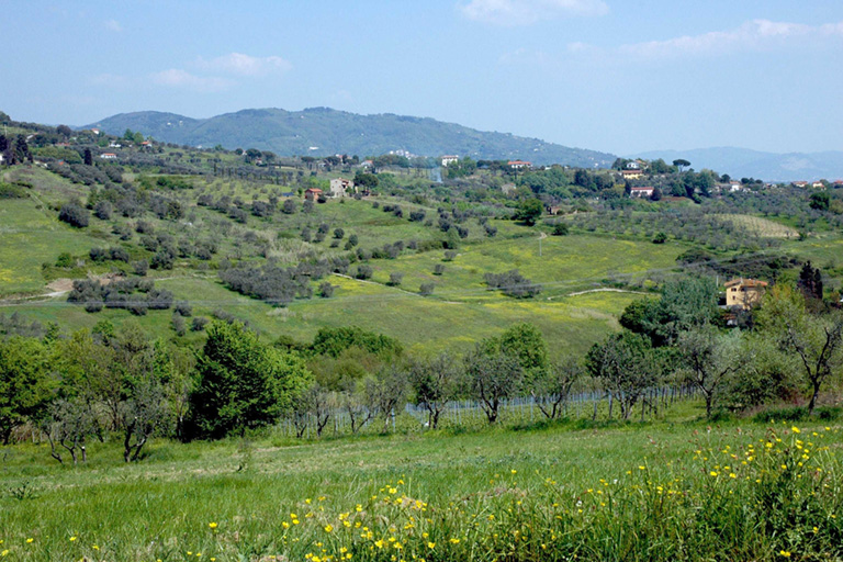 Galleria panoramica