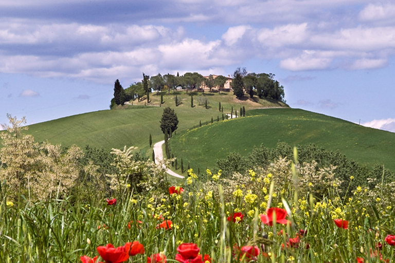 Galleria panoramica