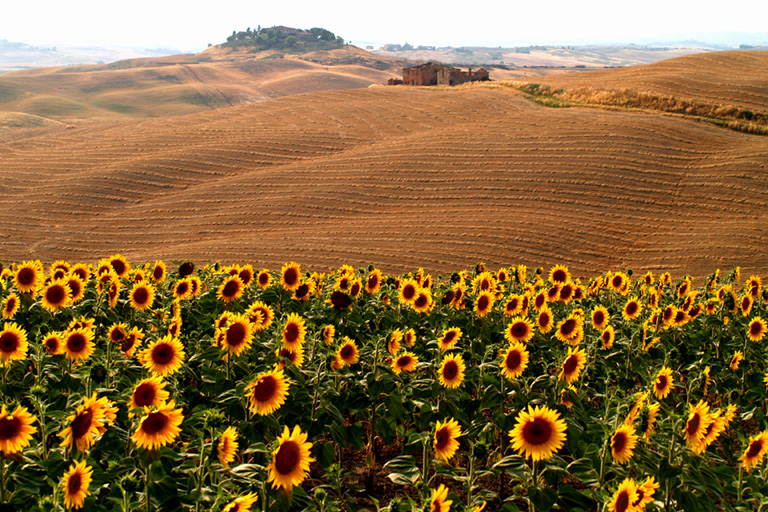 Galleria panoramica