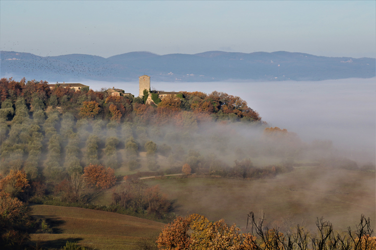 Galleria panoramica