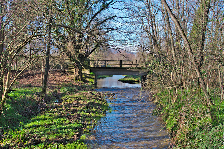 Galleria panoramica