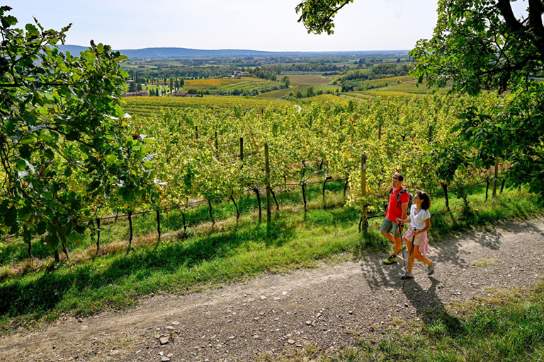 Galleria panoramica