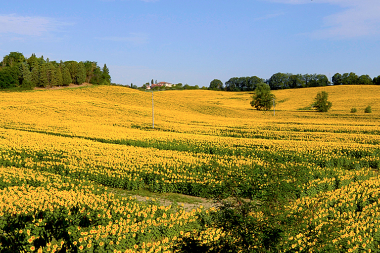 Galleria panoramica