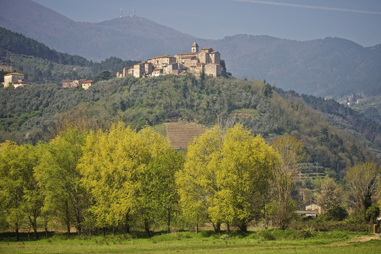 Galleria panoramica