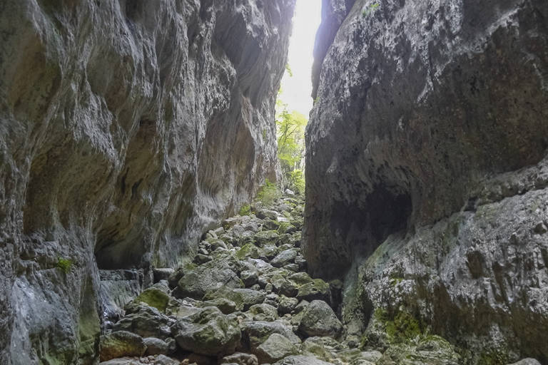Galleria panoramica