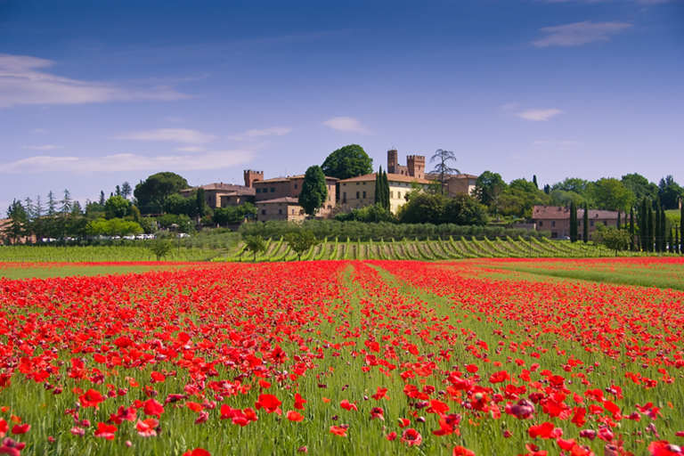 Galleria panoramica