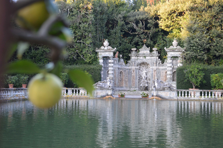 Galleria panoramica