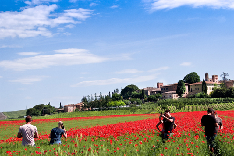 Galleria panoramica
