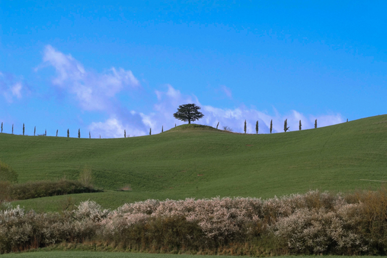 Galleria panoramica