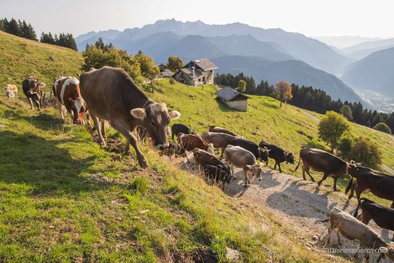Galleria panoramica