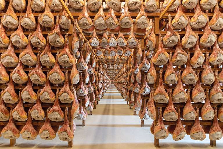 Img Gastronomia