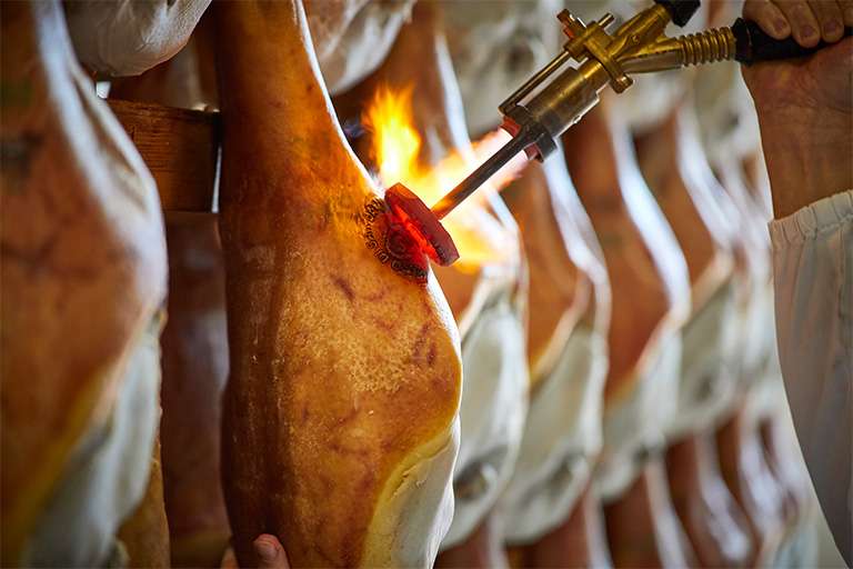 Img Gastronomia